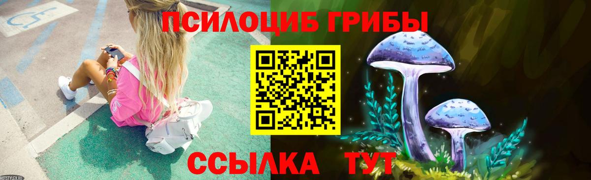 Галлюциногенные грибы Cubensis Надым